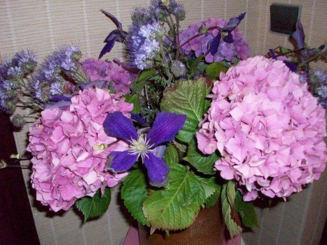 Chez Jocelyne Lhermite Bangor Екстер'єр фото